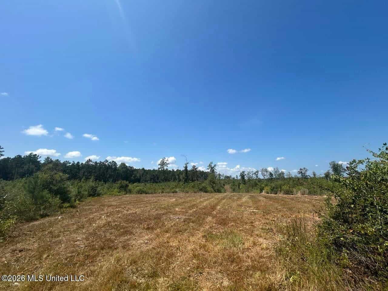 147± Acre Hunting Property in Plainview, LA