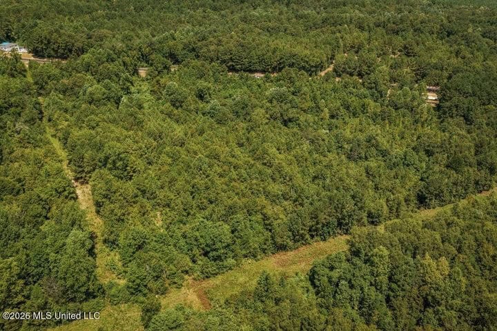31 Acres for Sale Near Collins MS | Mature Timber & Hunting