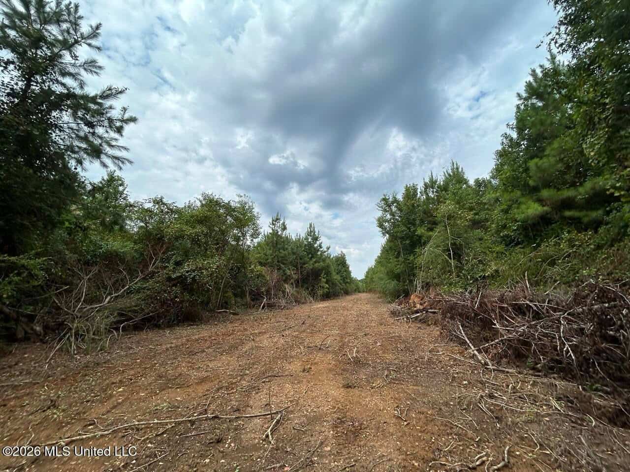 53± Acre Hunting Property Near Centreville, MS