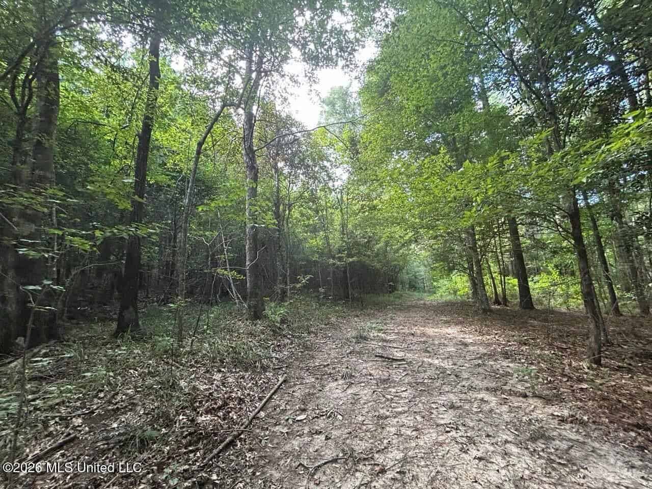 FRANKLIN COUNTY LAND FOR SALE NEAR McCALL CREEK