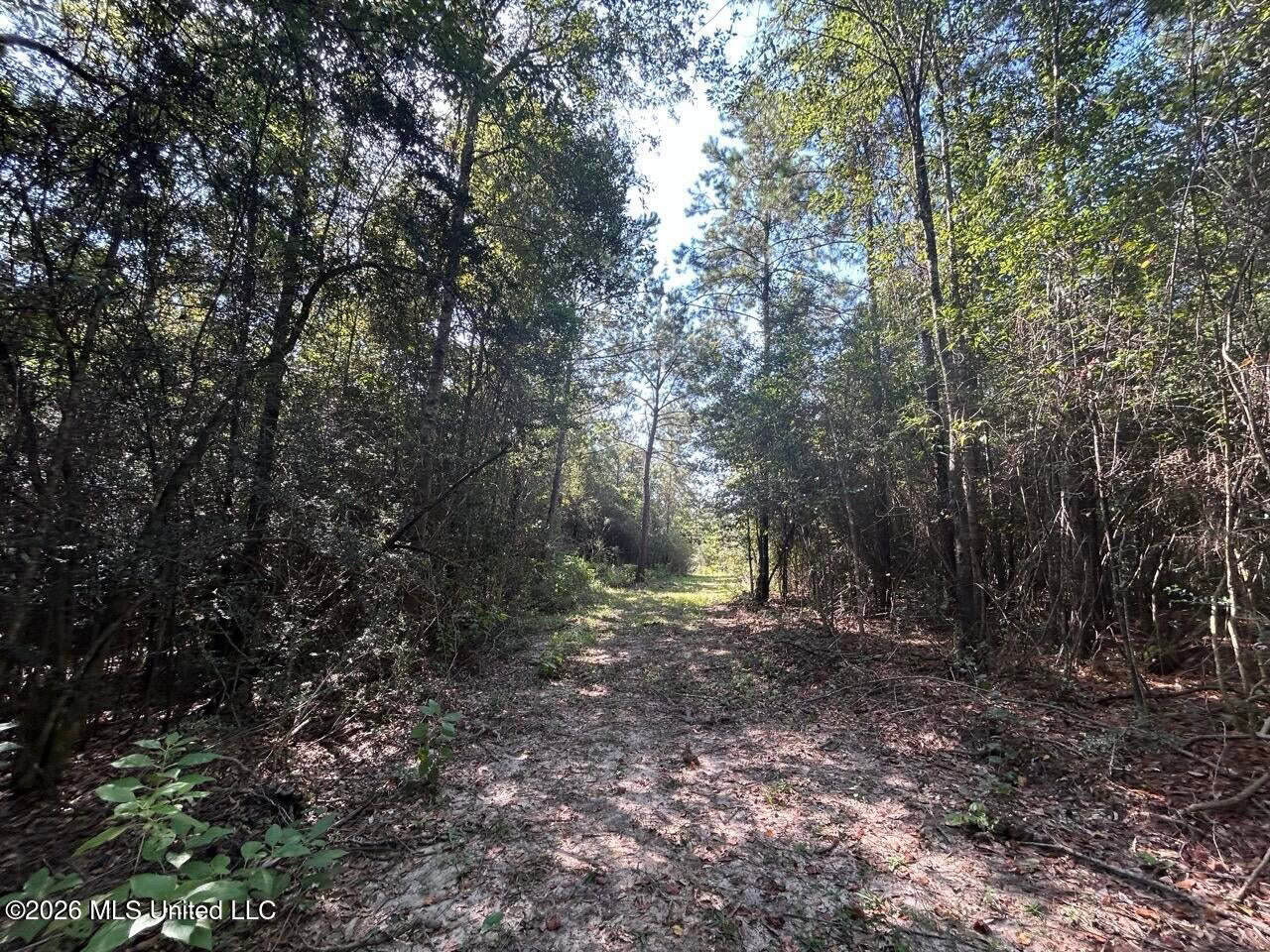50± Acre Homesite & Hunting Land in Plainview, LA