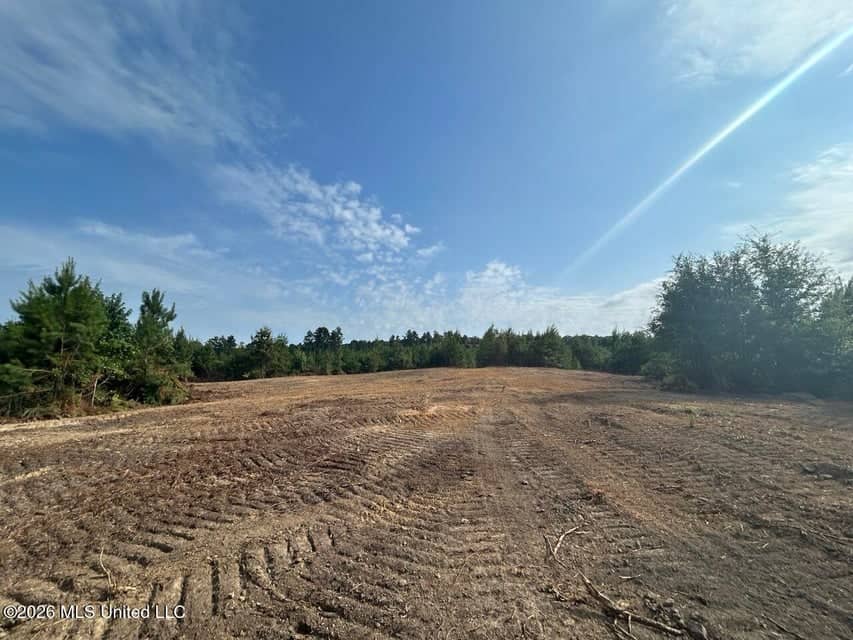 90± Acre Hunting Tract for Sale in Meadville, MS