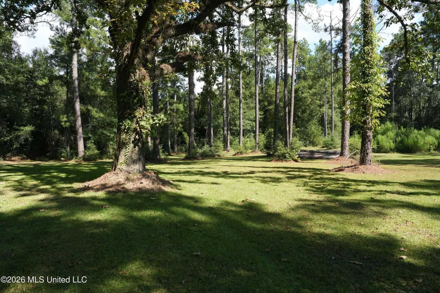 20 Acres for Sale Magnolia MS with Barn & Mature Timber