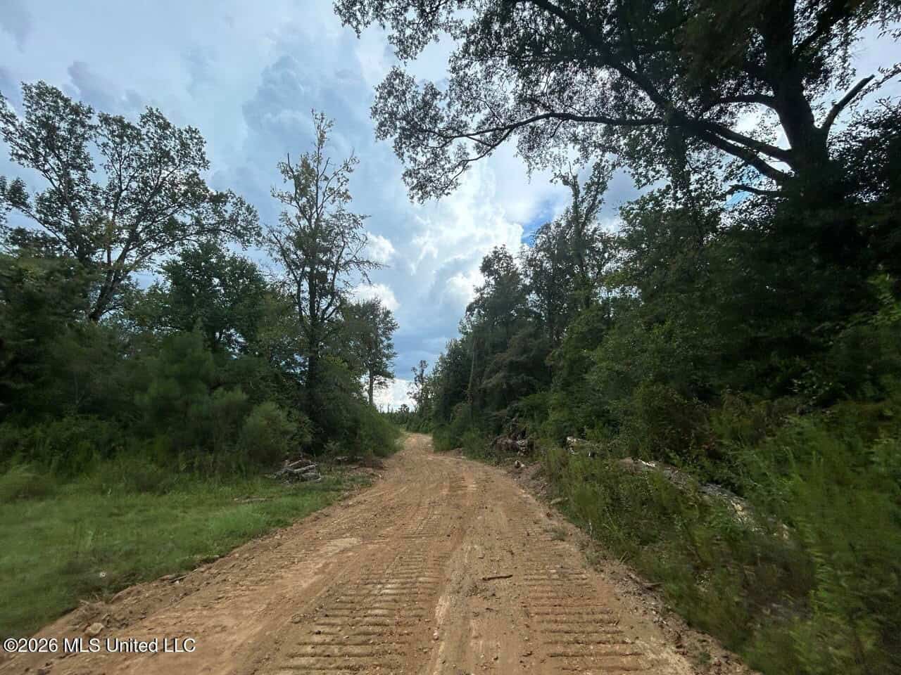 85± Acre Turnkey Hunting Property in Amite County, MS