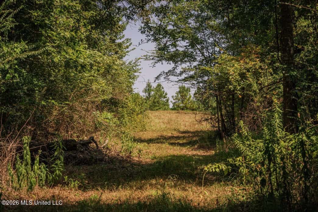 52.25± Acres in Copiah County, MS Near Hazlehurst