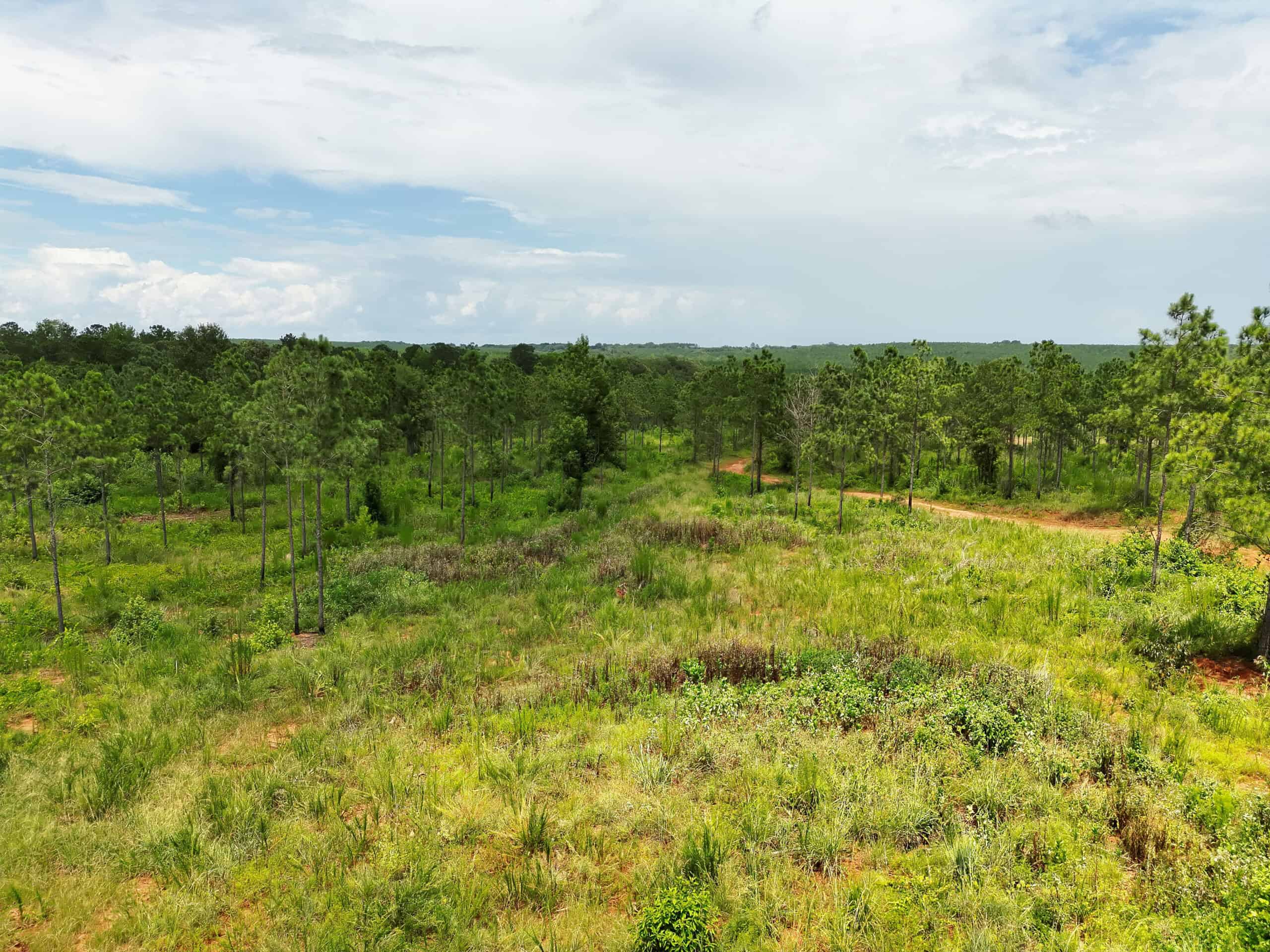 Discover an outstanding 130-acre recreational and hunting property in Stewart Cty