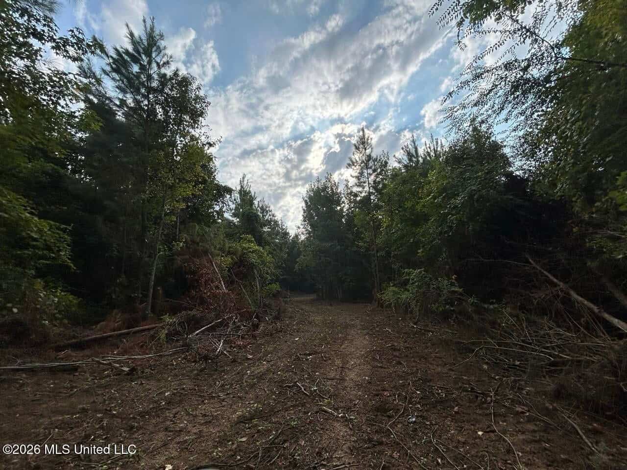 82± Acre Hunting Property in Wilkinson County, MS