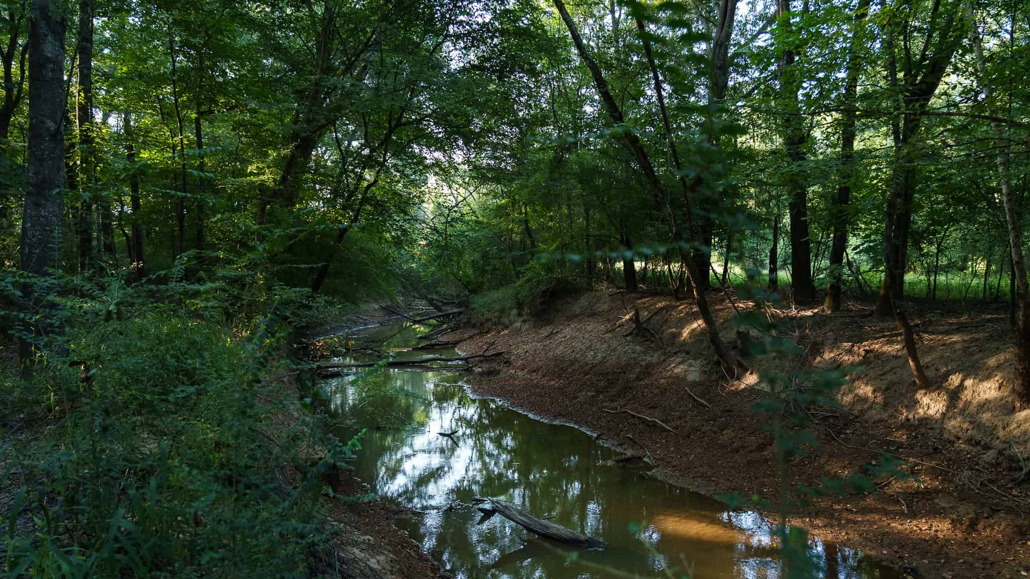 East TX Hunting Land for Sale | 327 Acres | River & Duck Slough | Laneville TX