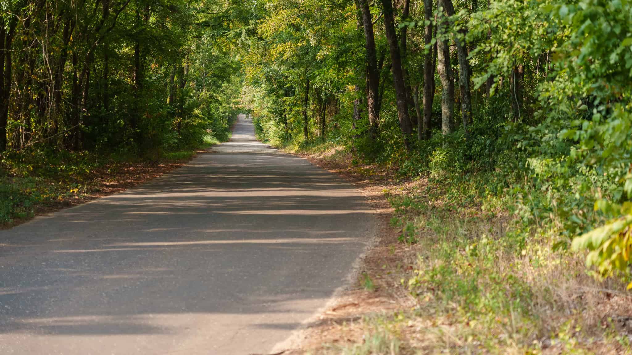 East Texas Hunting & Timber Land for Sale in Smith County