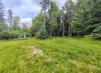 80± Acre Hunting Retreat for Sale in Butternut, WI
