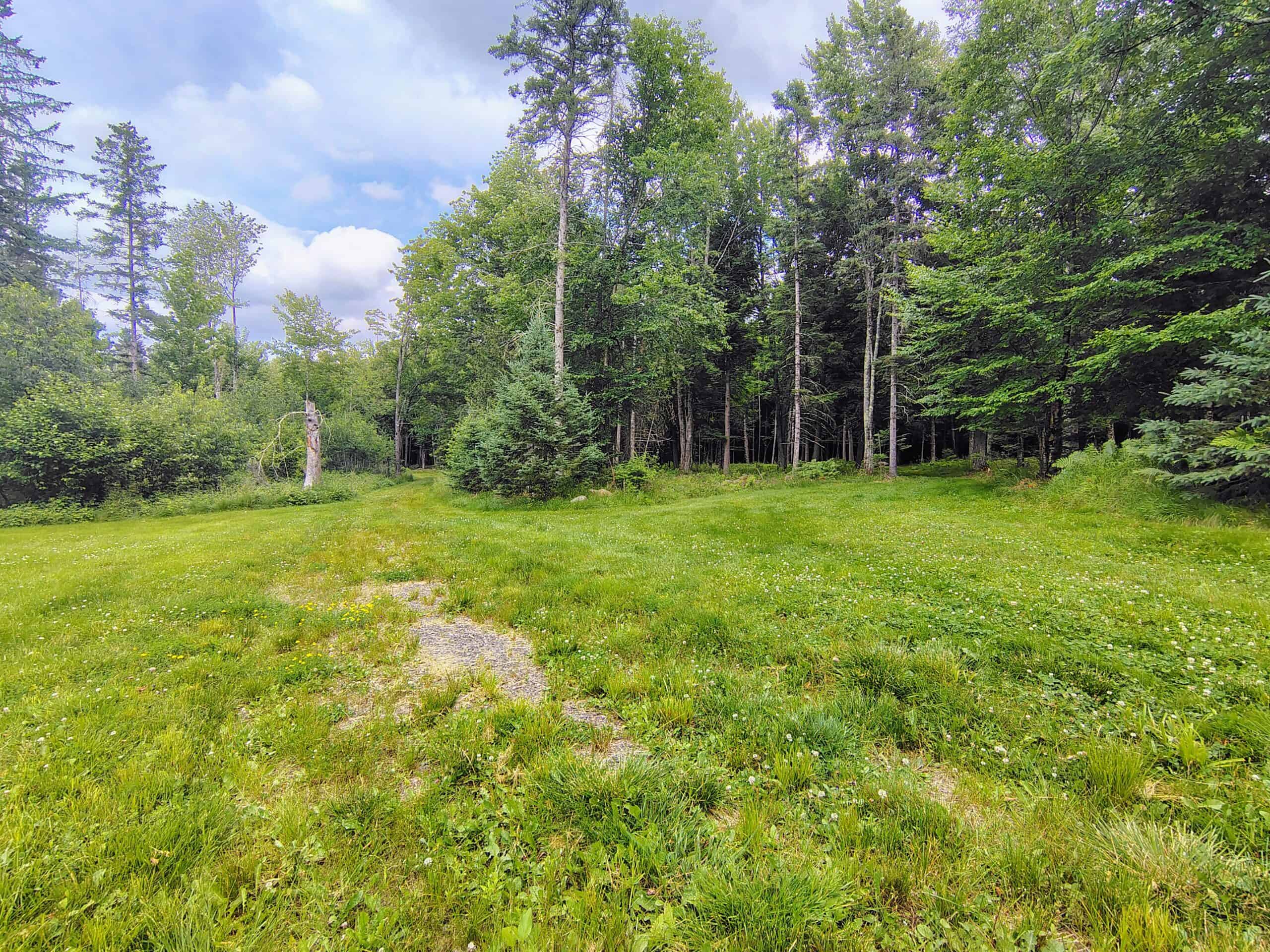 80± Acre Hunting Retreat for Sale in Butternut, WI