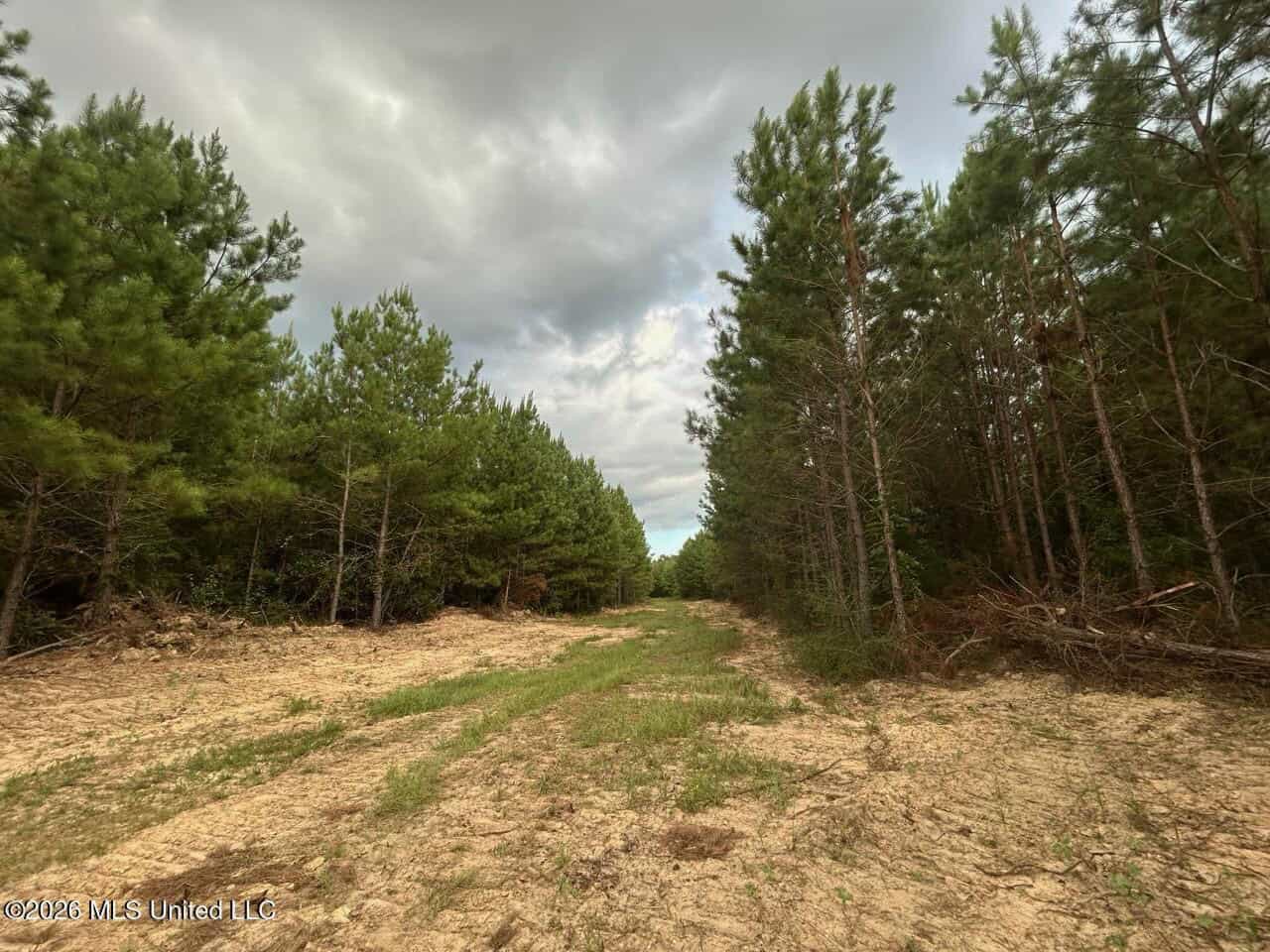 82± Acre Hunting Tract in Meadville, MS