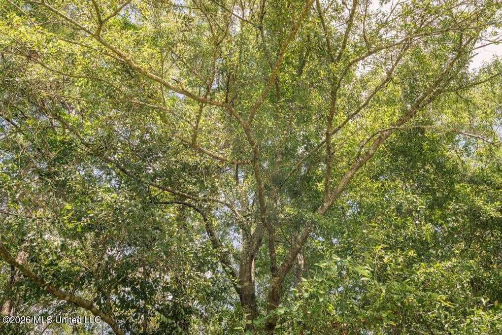 HWY 49 Land for Sale Simpson County, MS