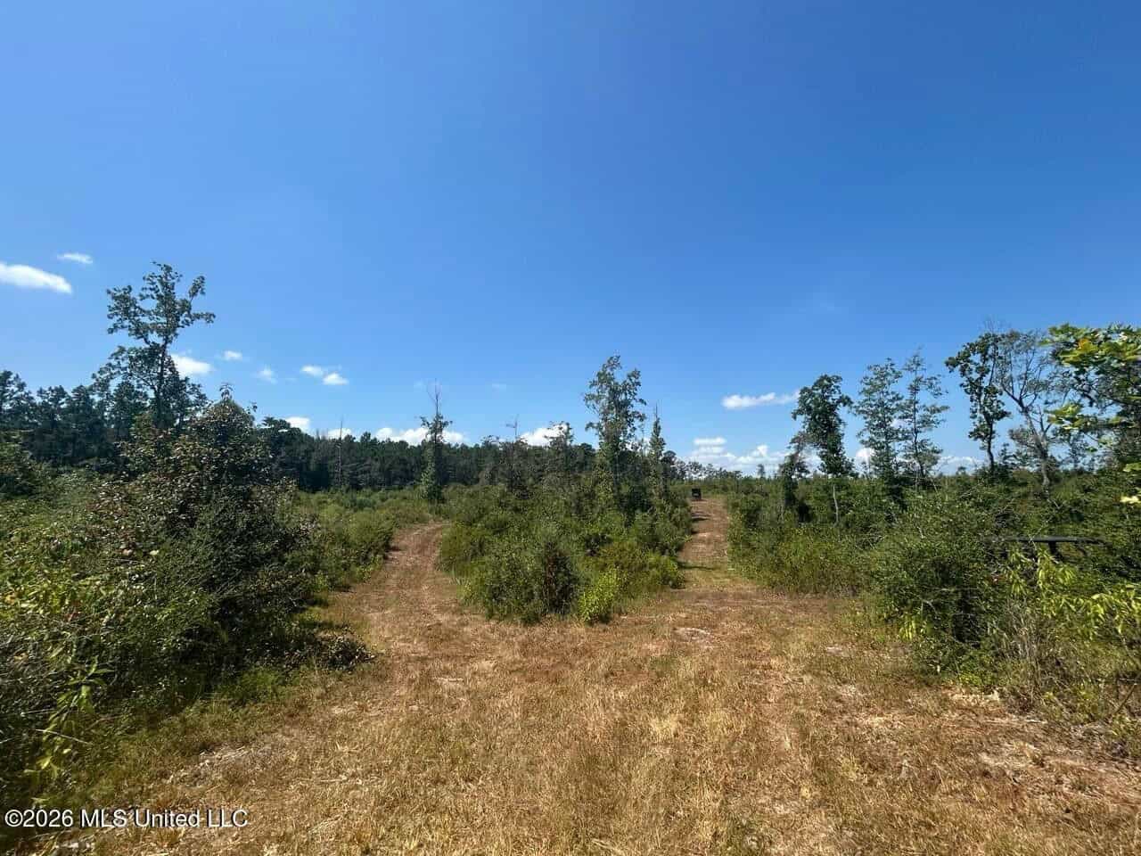 147± Acre Hunting Property in Plainview, LA