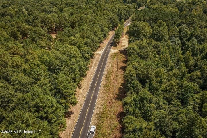 31 Acres for Sale Near Collins MS | Mature Timber & Hunting