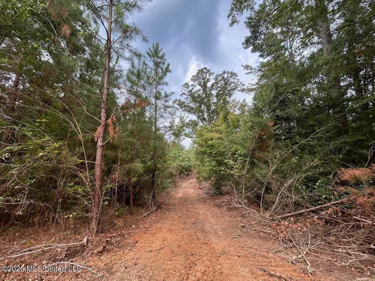 53± Acre Hunting Property Near Centreville, MS