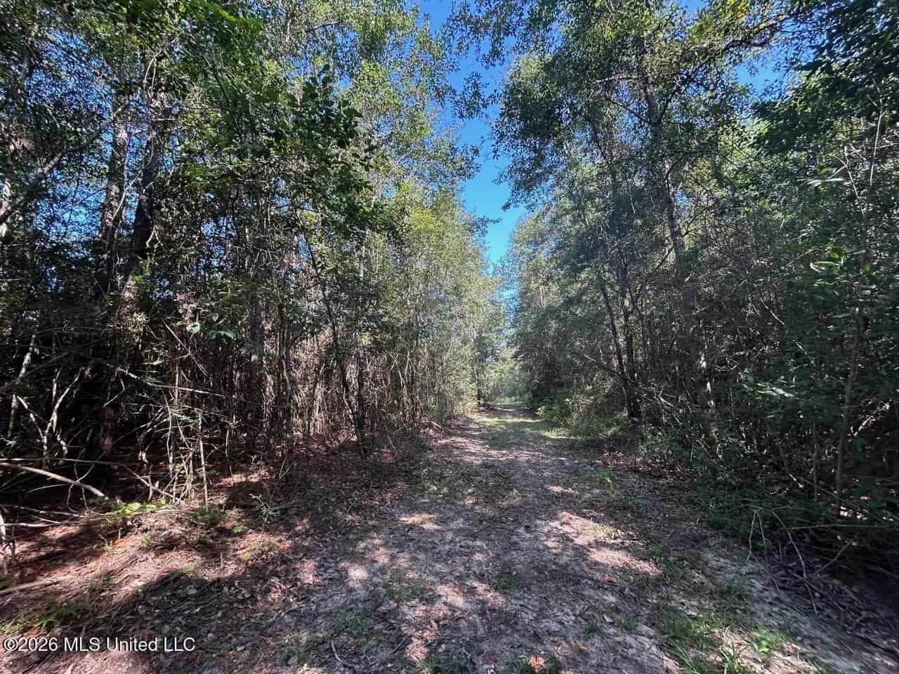 50± Acre Homesite & Hunting Land in Plainview, LA