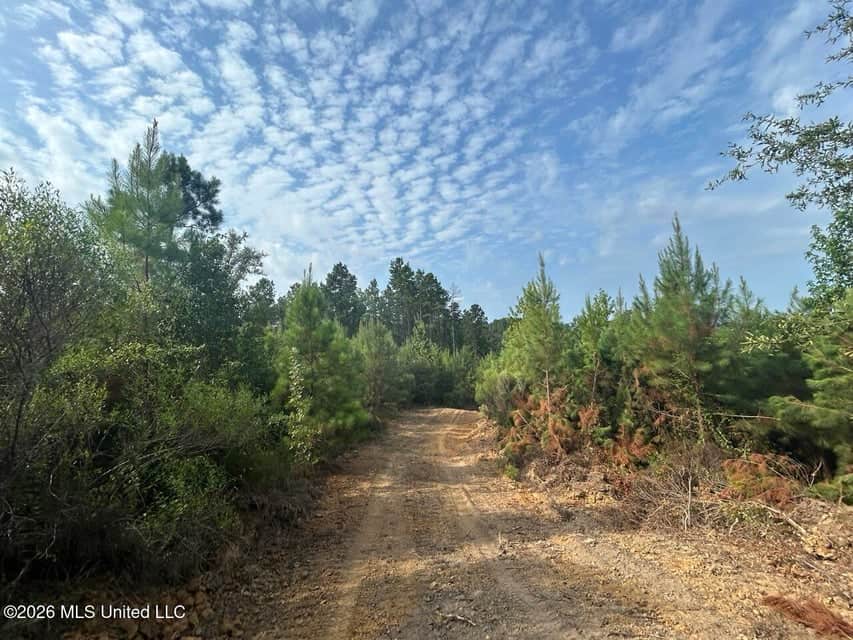 90± Acre Hunting Tract for Sale in Meadville, MS