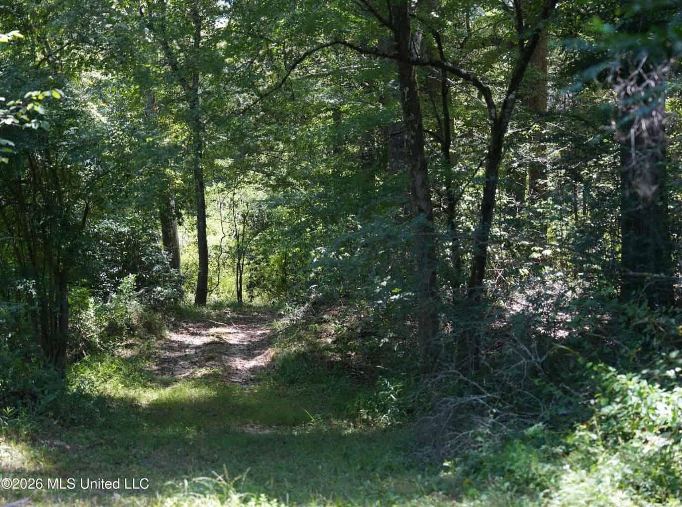 150 Acres for Sale in Magnolia MS on Tangipahoa River