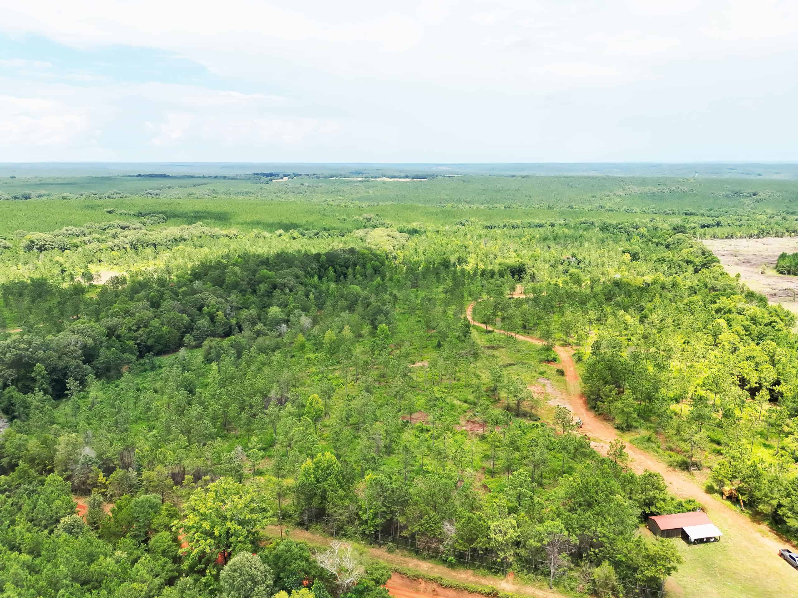Discover an outstanding 130-acre recreational and hunting property in Stewart Cty