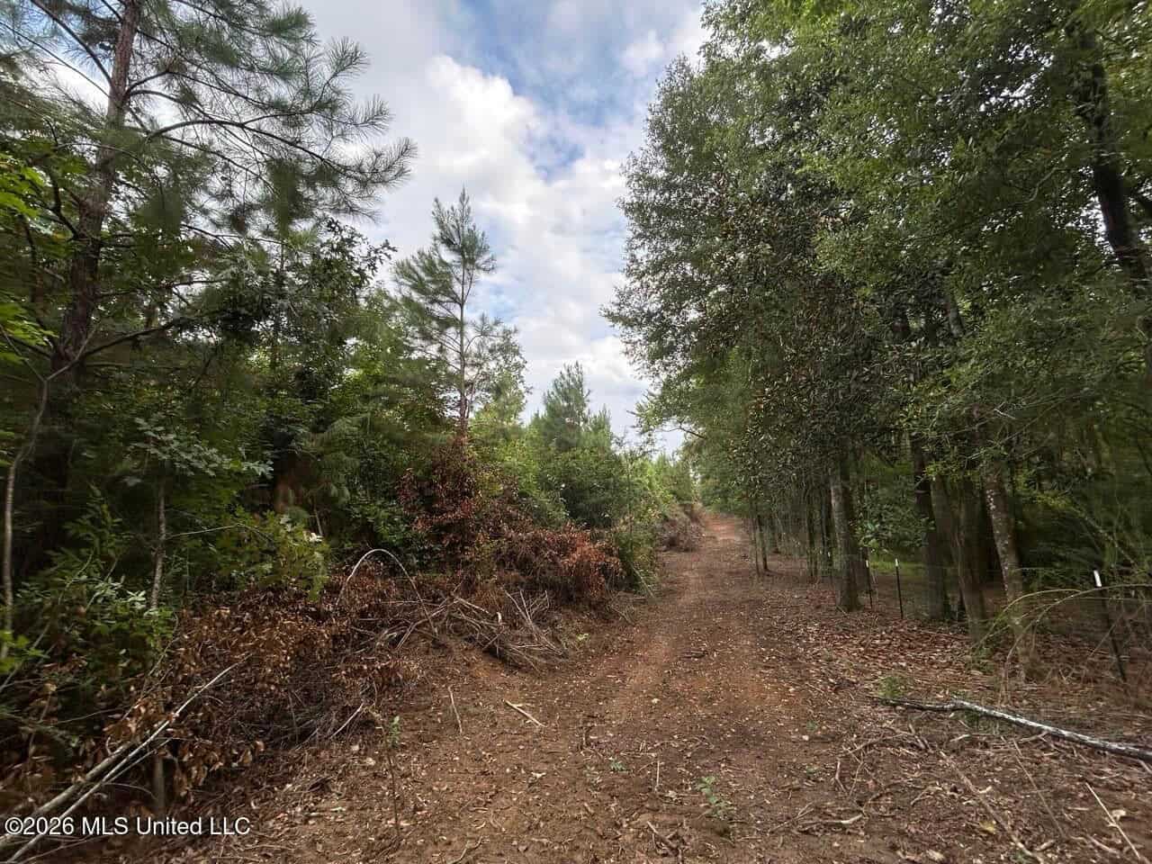 82± Acre Hunting Property in Wilkinson County, MS