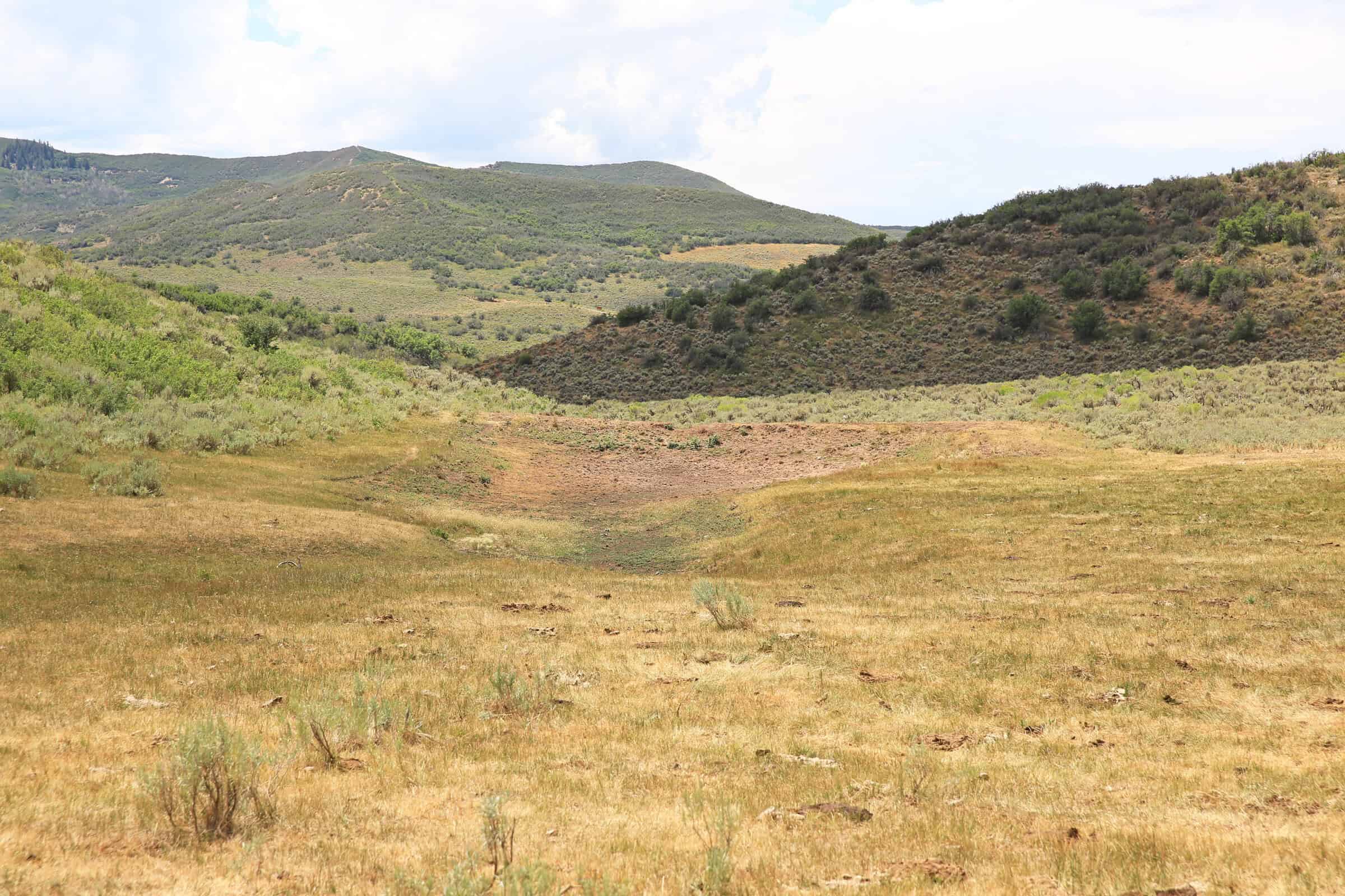 35 Acres Borders Public Land near Collbran, CO