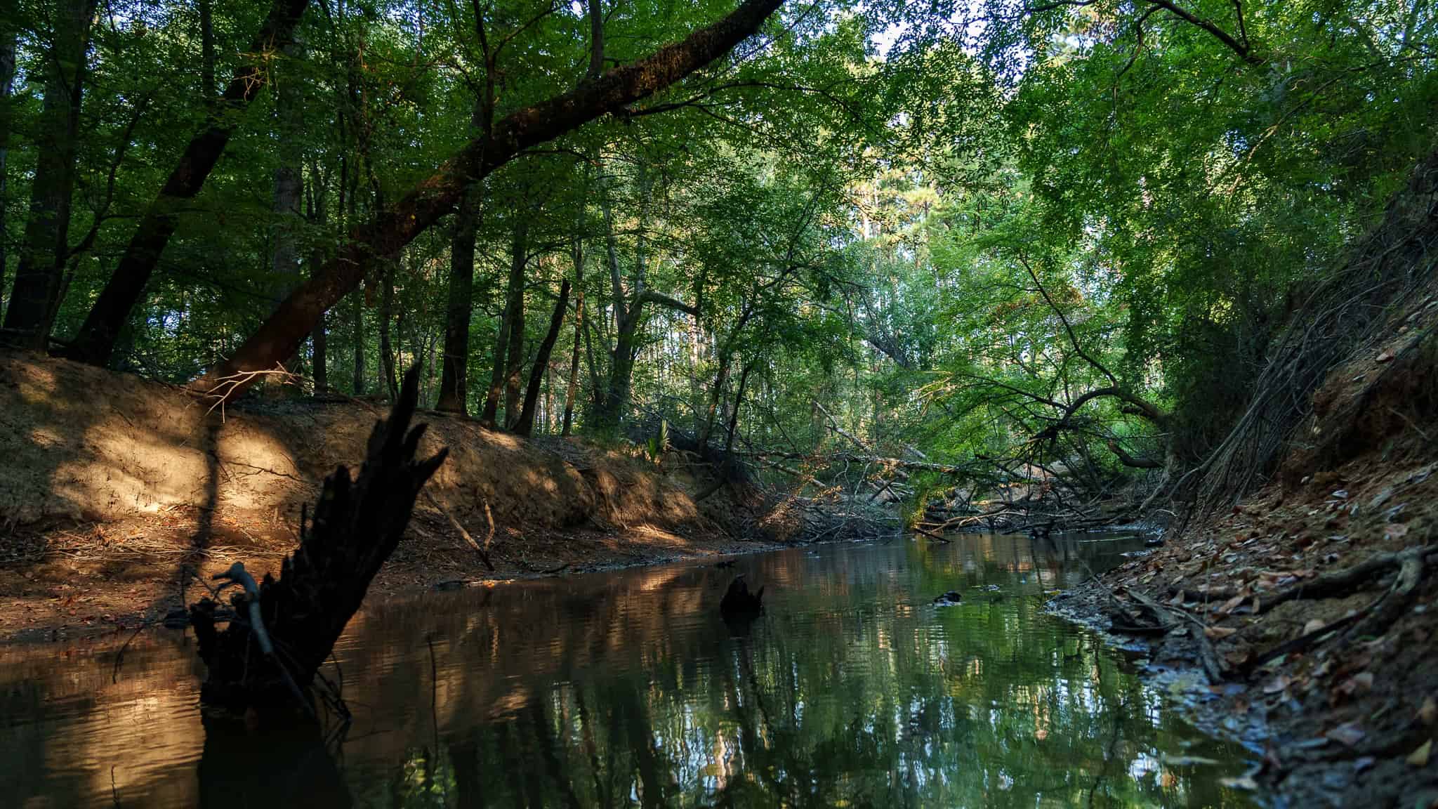 East TX Hunting Land for Sale | 327 Acres | River & Duck Slough | Laneville TX