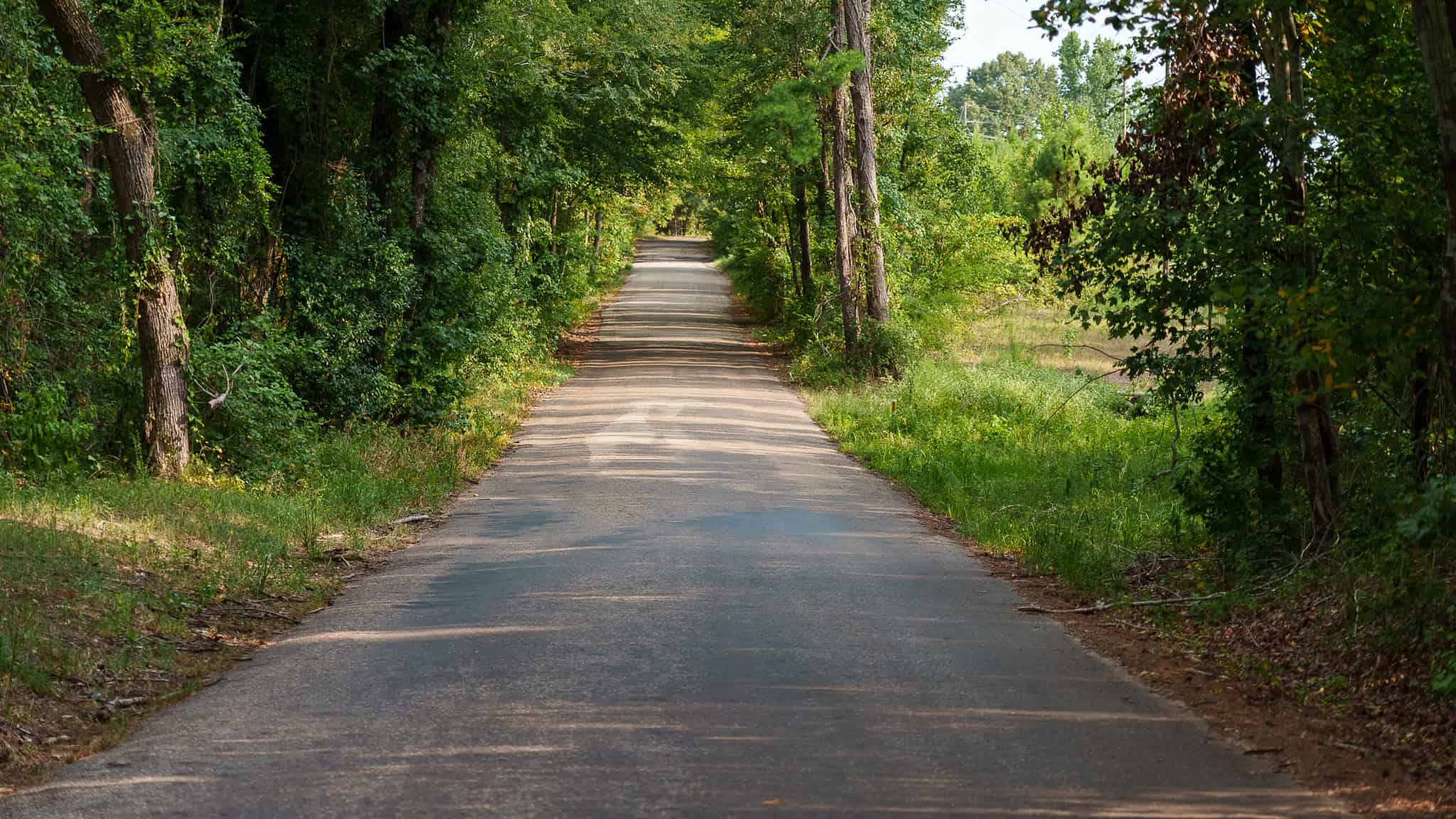 East Texas Hunting & Timber Land for Sale in Smith County