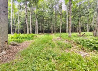 80± Acre Hunting Retreat for Sale in Butternut, WI