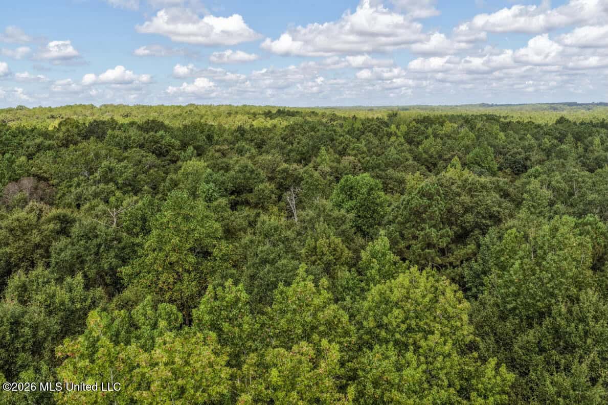 HWY 49 Land for Sale Simpson County, MS