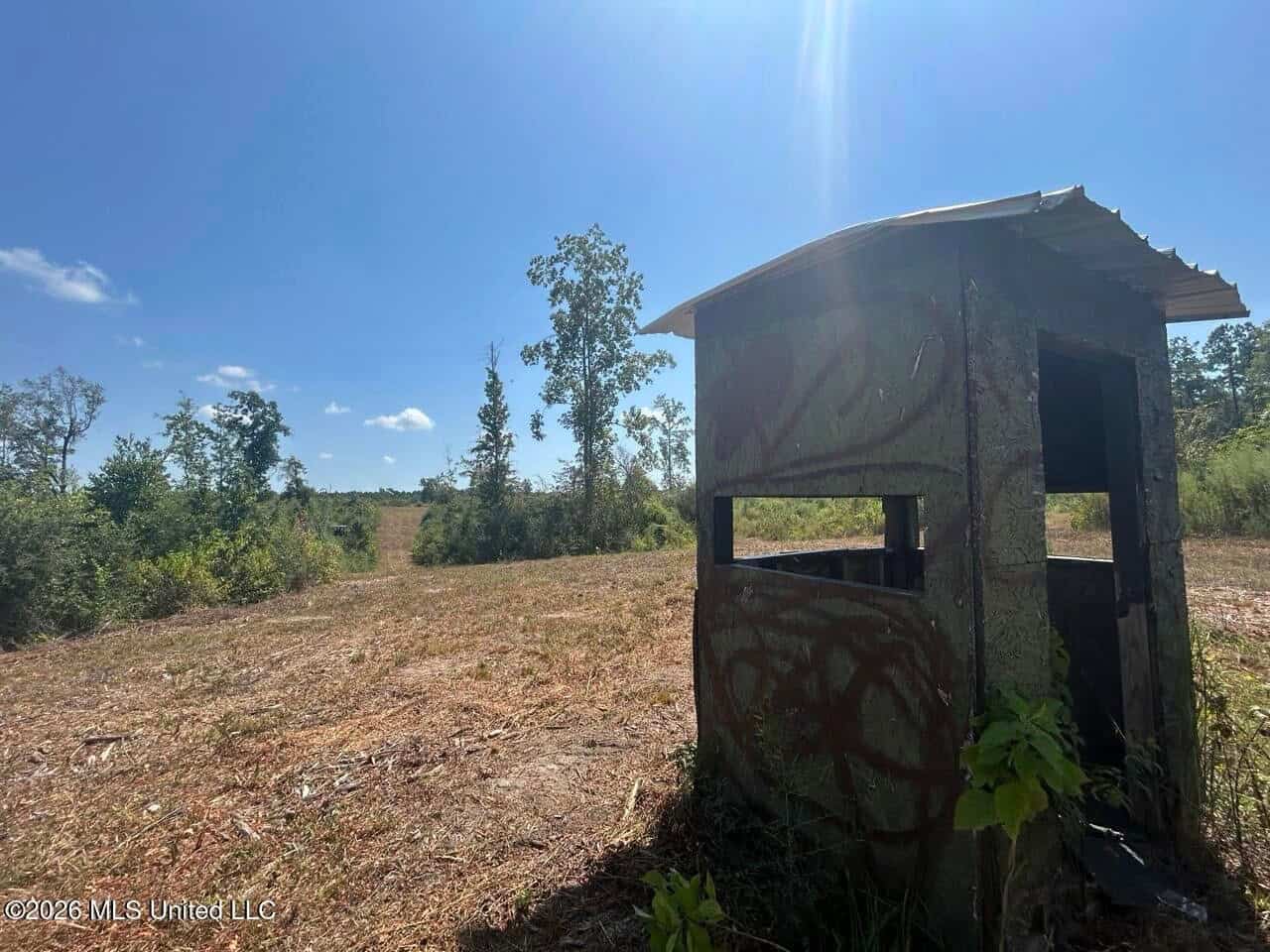 147± Acre Hunting Property in Plainview, LA