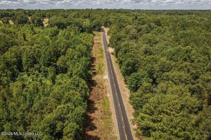 31 Acres for Sale Near Collins MS | Mature Timber & Hunting