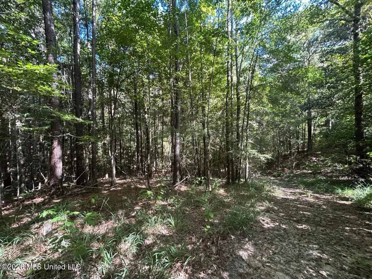 FRANKLIN COUNTY LAND FOR SALE NEAR McCALL CREEK