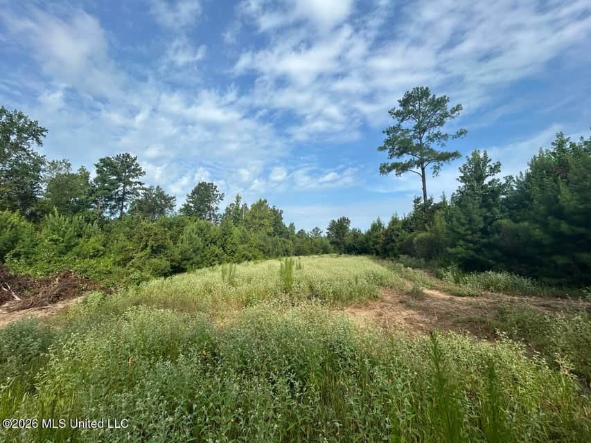 90± Acre Hunting Tract for Sale in Meadville, MS