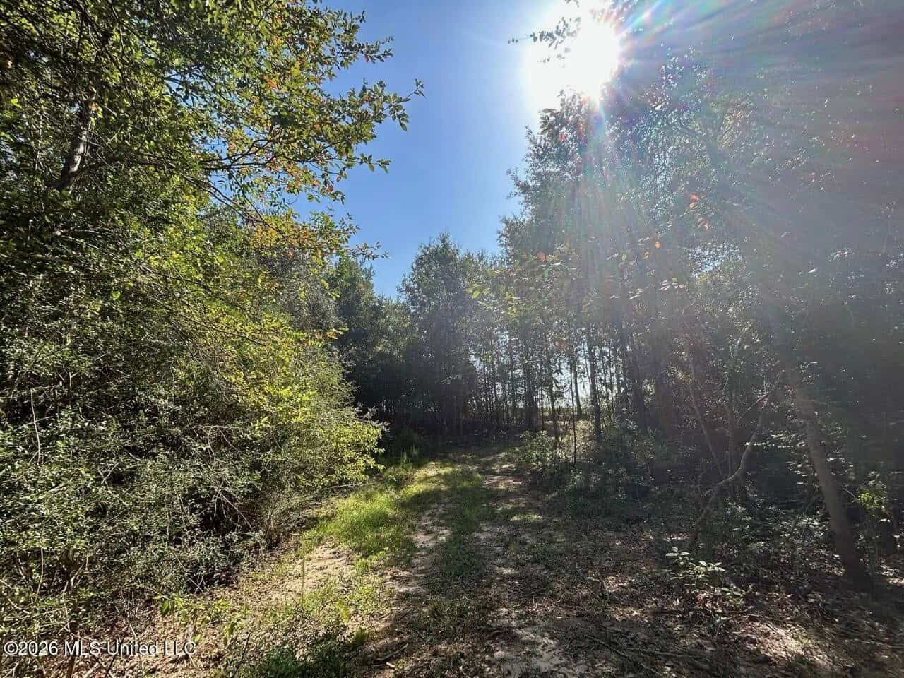50± Acre Homesite & Hunting Land in Plainview, LA