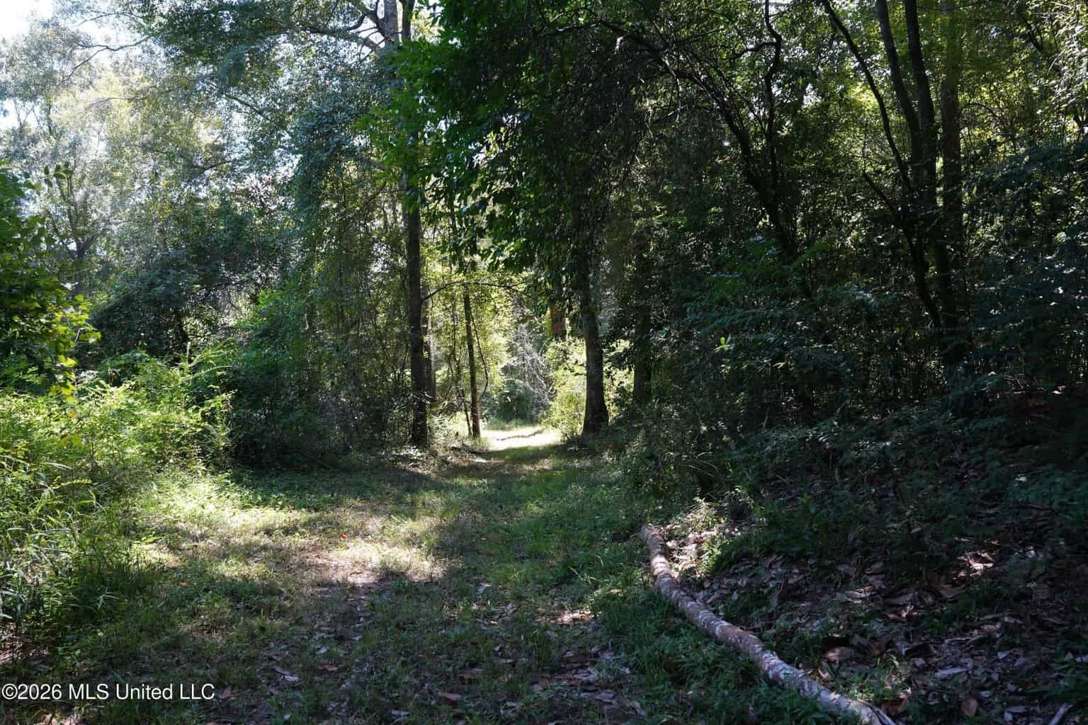 150 Acres for Sale in Magnolia MS on Tangipahoa River