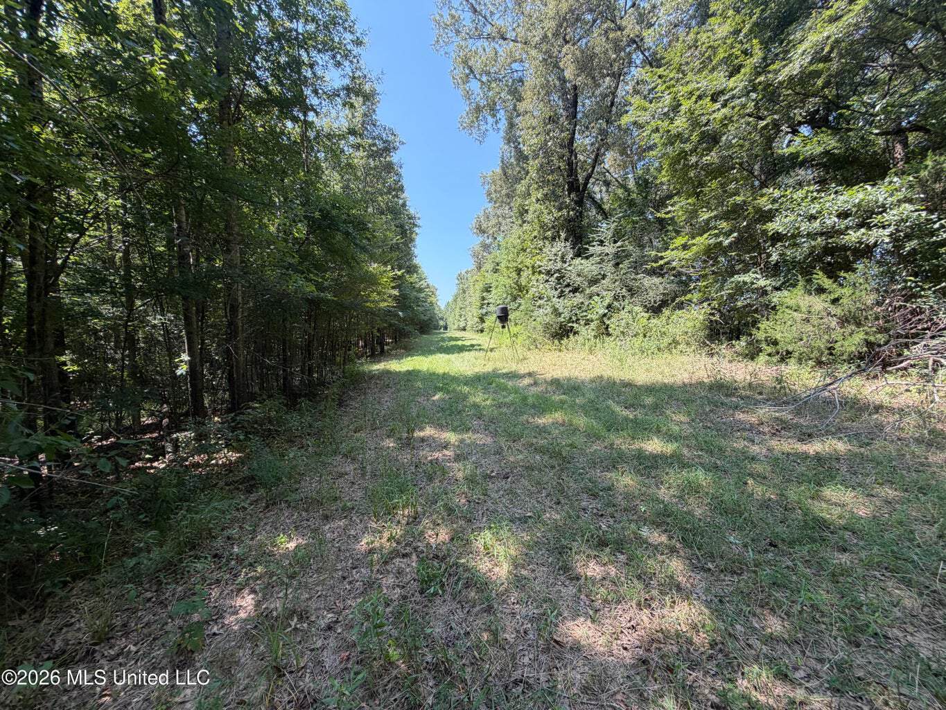 81-Acre Timber Property on 20-Acre Lake in Vaughan, MS