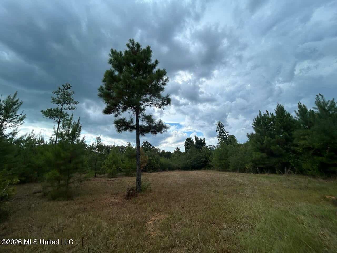 85± Acre Turnkey Hunting Property in Amite County, MS