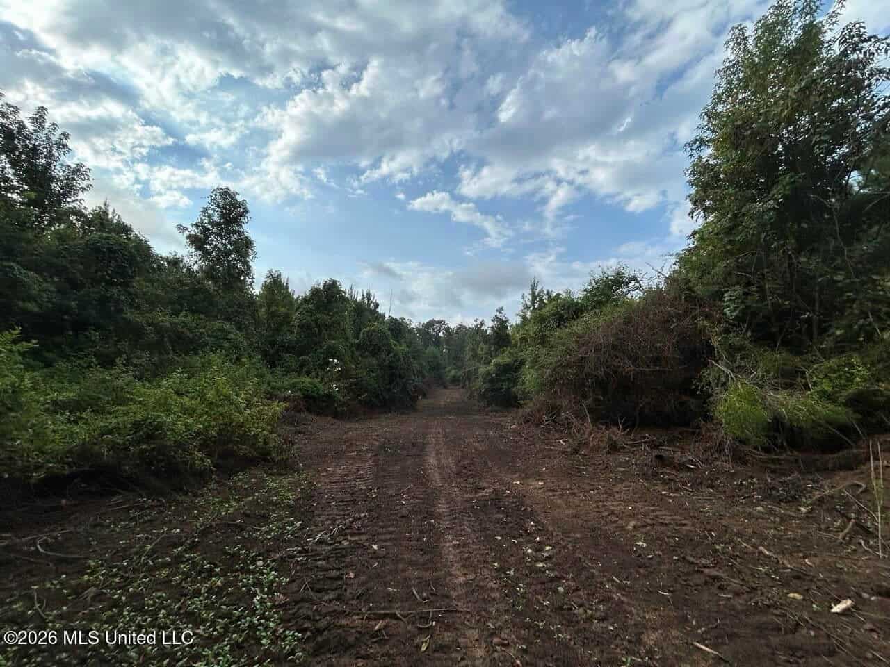 82± Acre Hunting Property in Wilkinson County, MS