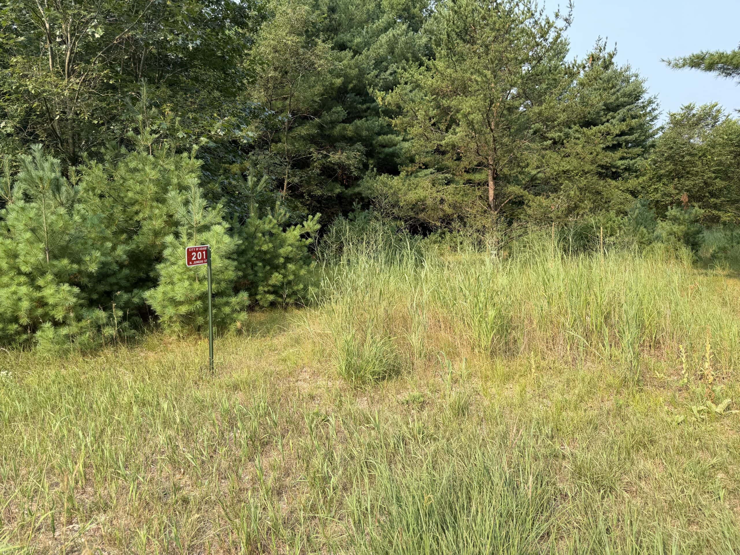 Rare opportunity to own 17.54 wooded acres within the City of Adams