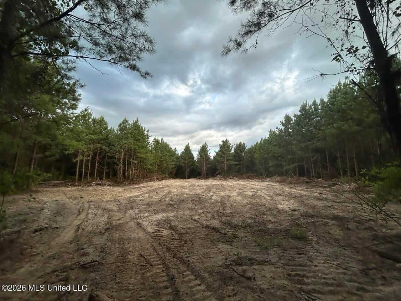 82± Acre Hunting Tract in Meadville, MS