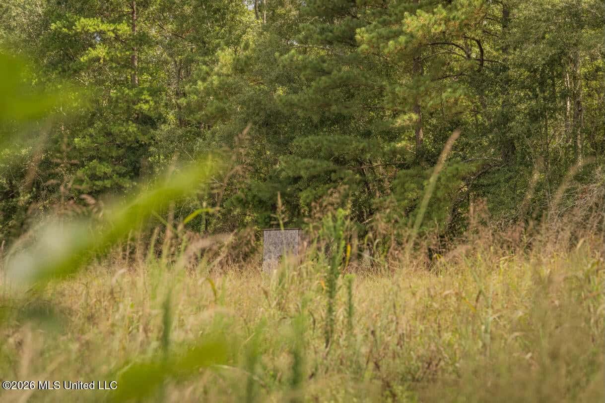 HWY 49 Land for Sale Simpson County, MS