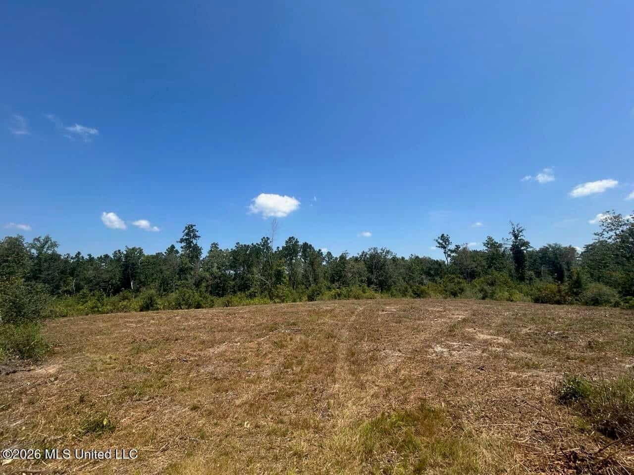 147± Acre Hunting Property in Plainview, LA