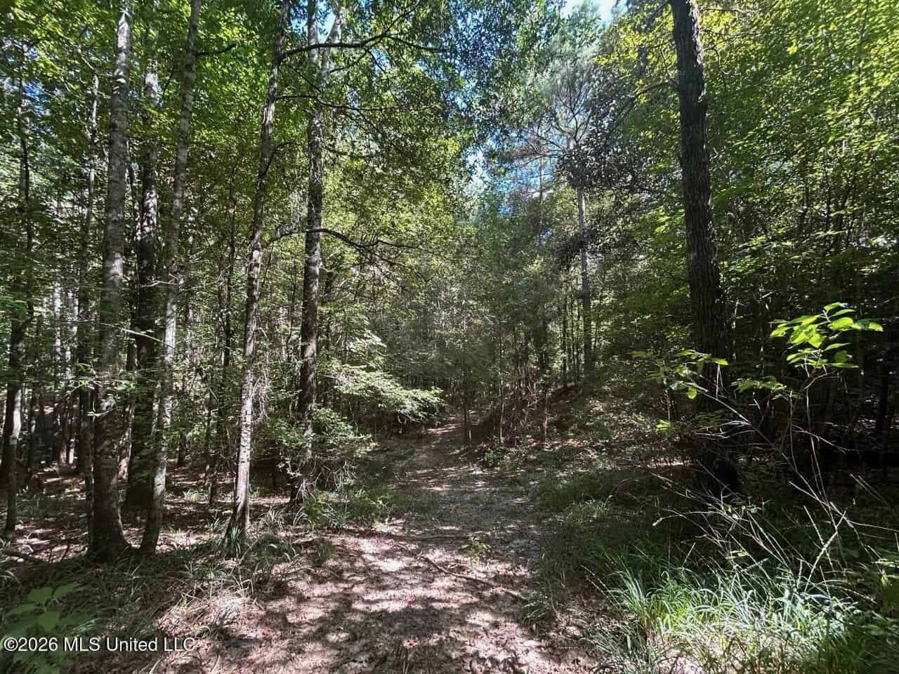 FRANKLIN COUNTY LAND FOR SALE NEAR McCALL CREEK