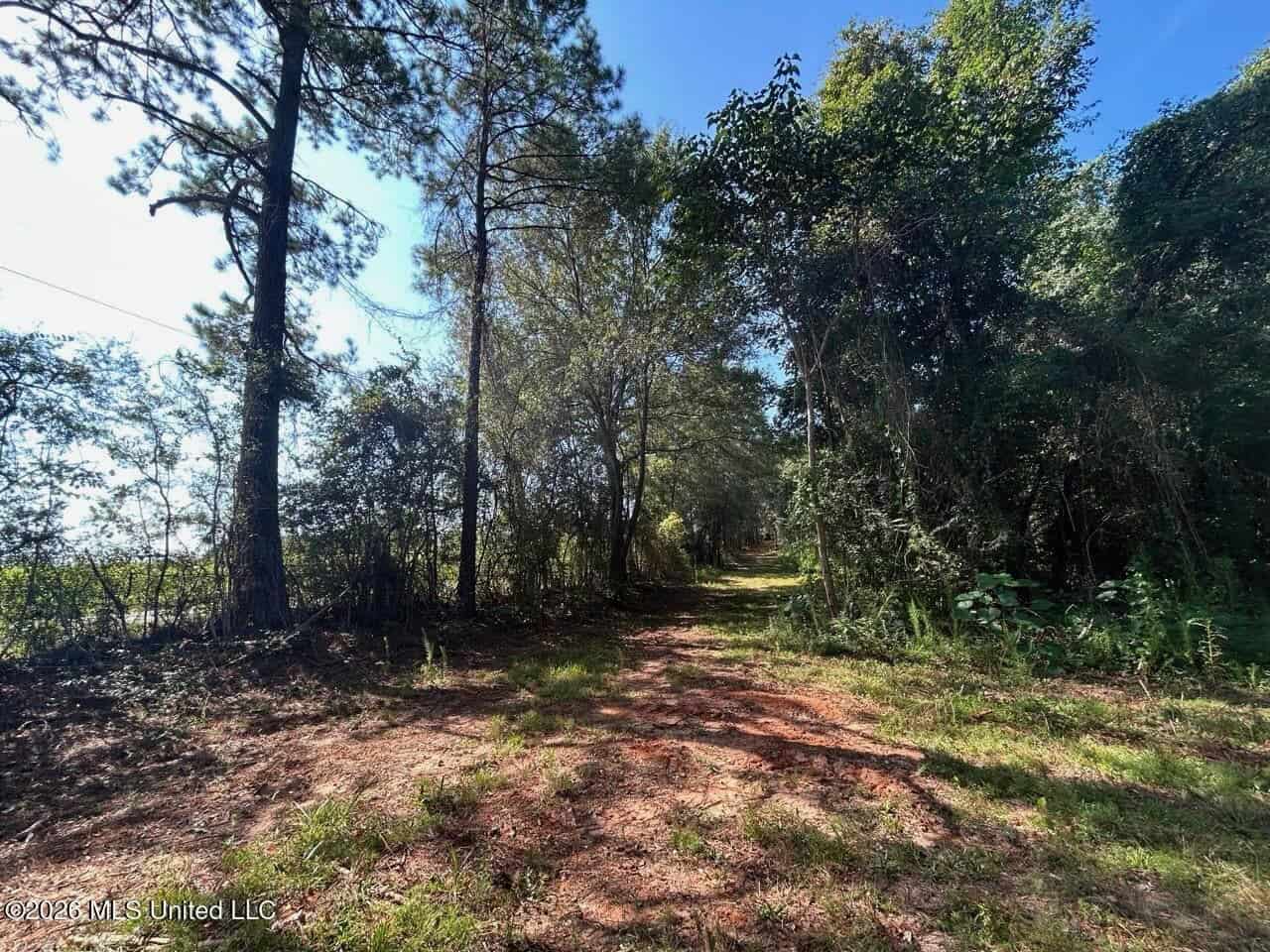 50± Acre Homesite & Hunting Land in Plainview, LA