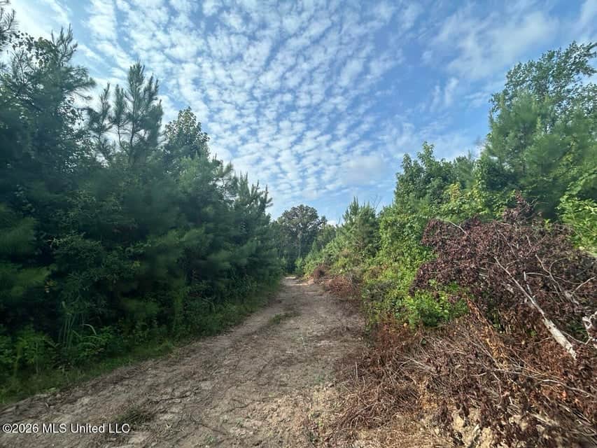 90± Acre Hunting Tract for Sale in Meadville, MS