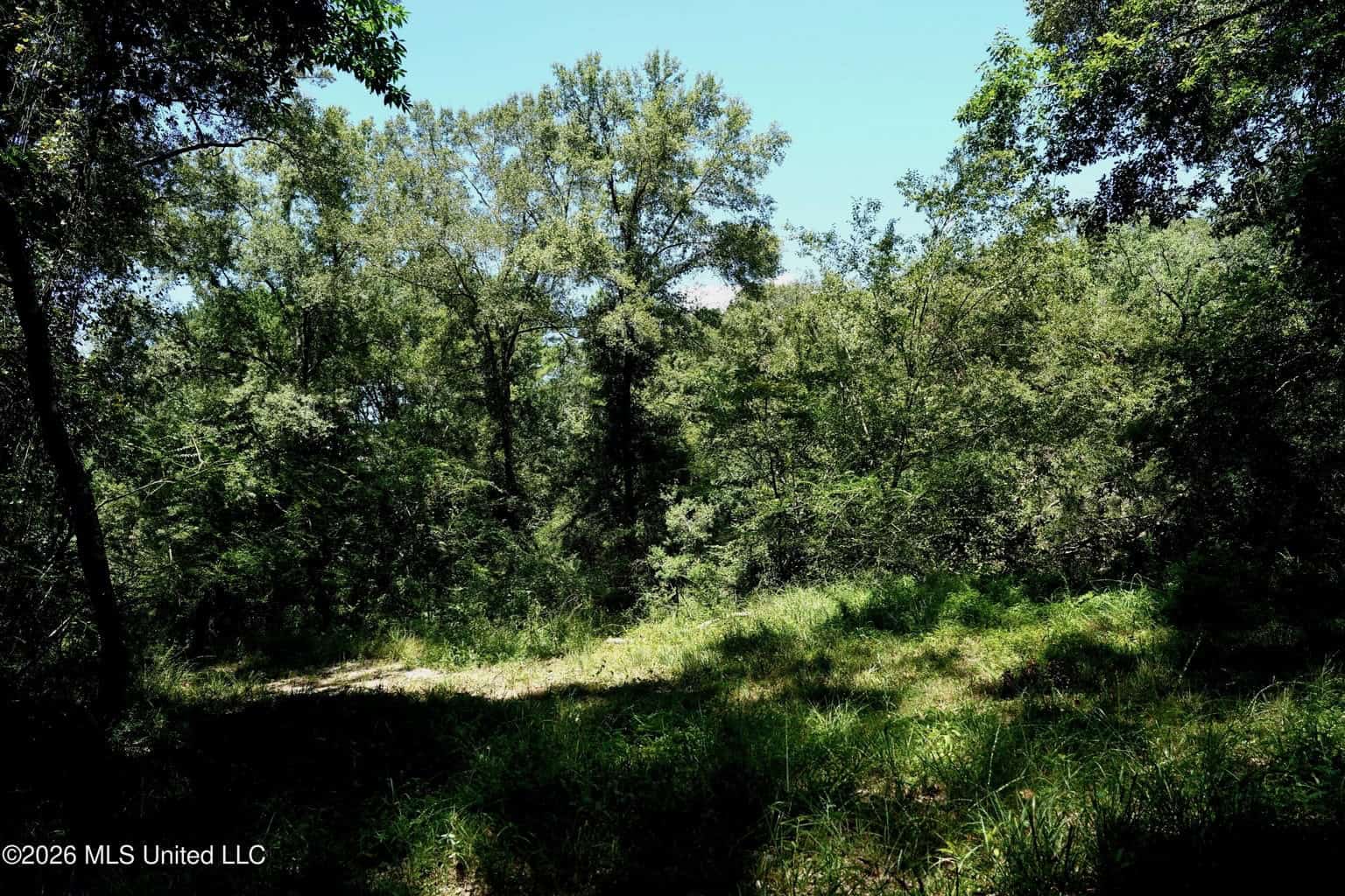 150 Acres for Sale in Magnolia MS on Tangipahoa River