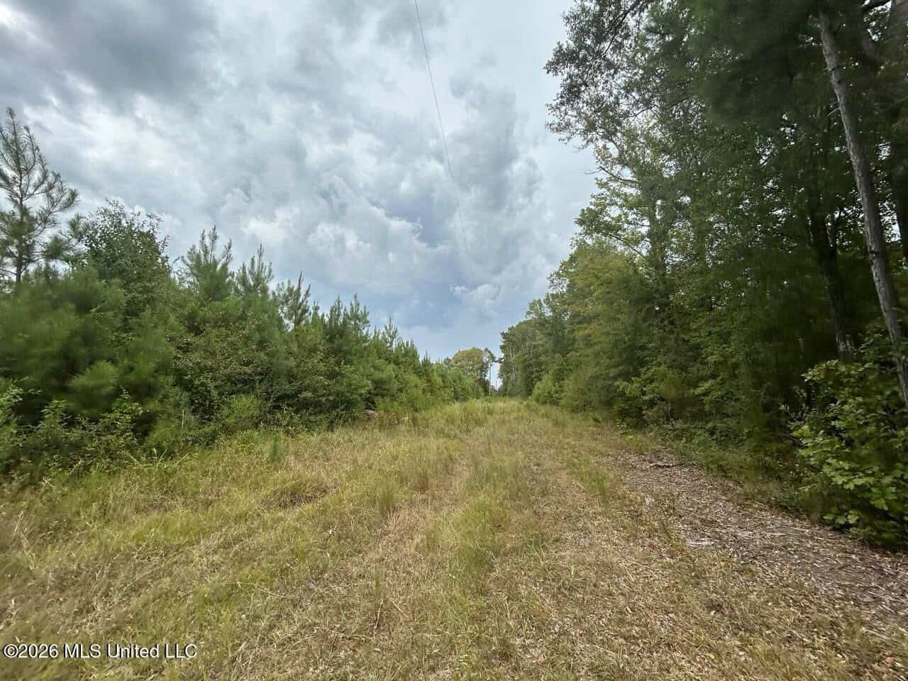 85± Acre Turnkey Hunting Property in Amite County, MS