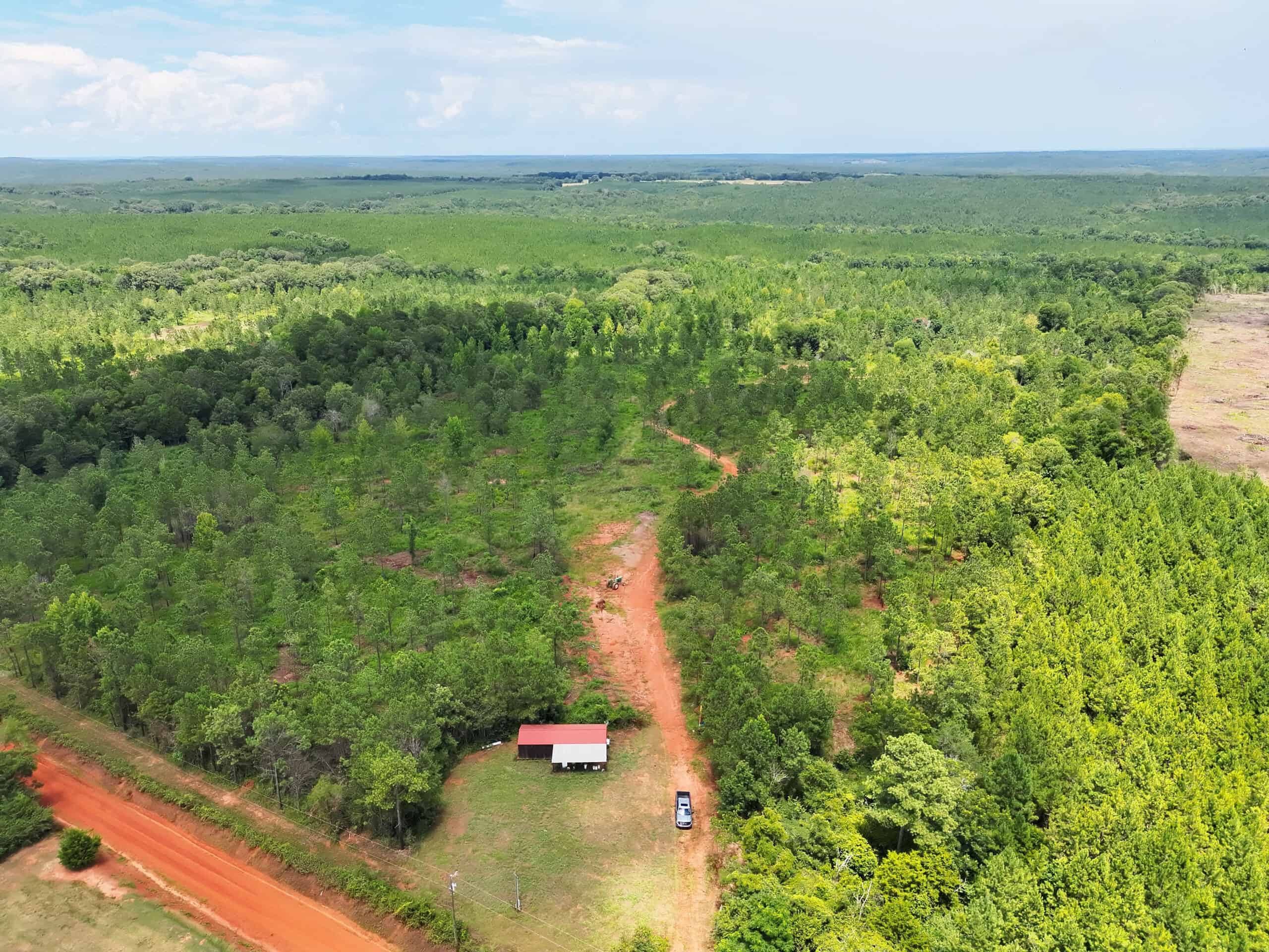 Discover an outstanding 130-acre recreational and hunting property in Stewart Cty