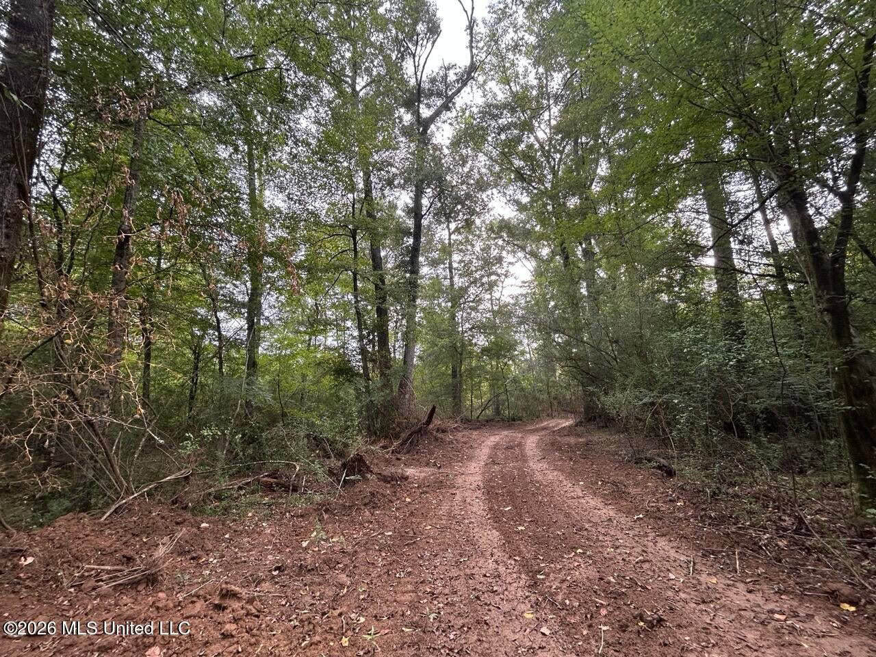 82± Acre Hunting Property in Wilkinson County, MS